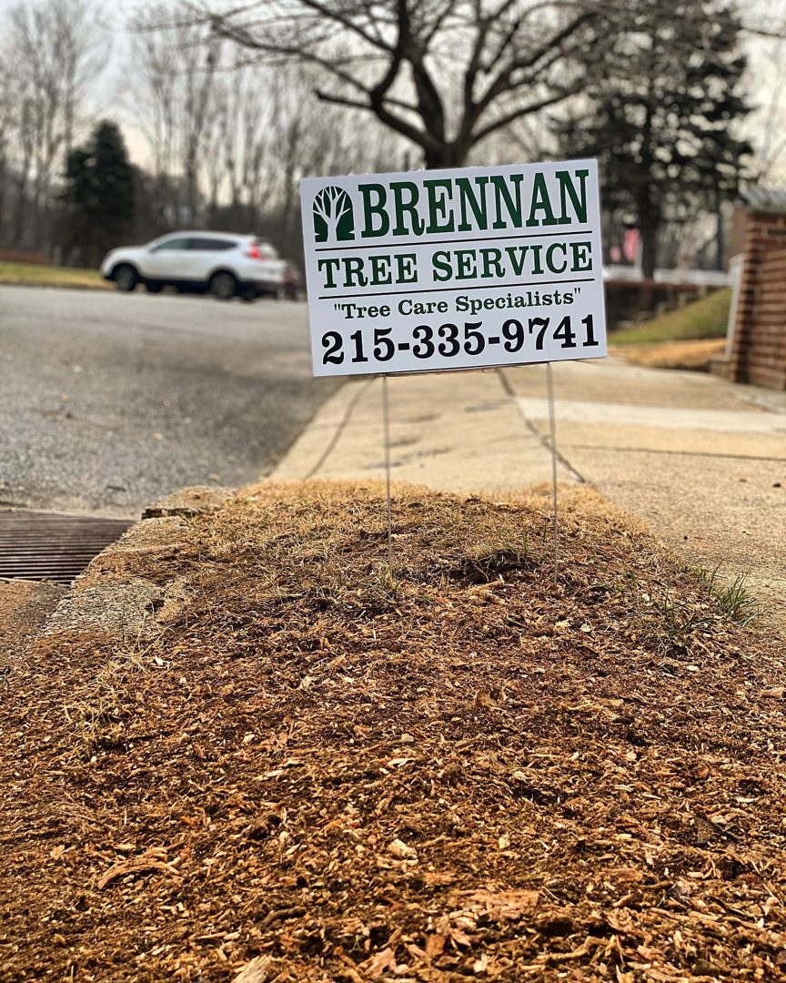 Tree Health & Cabling in Abington by Brennan Tree Service