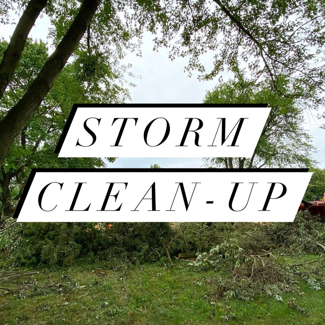 24-Hour Emergency Tree Service in Wayne by Brennan Tree Service